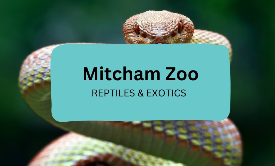 Mitcham Zoo